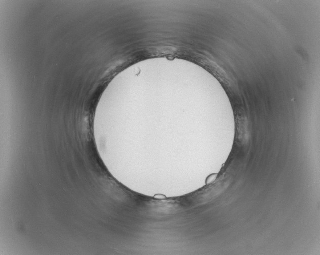 X0000115840378200912111338