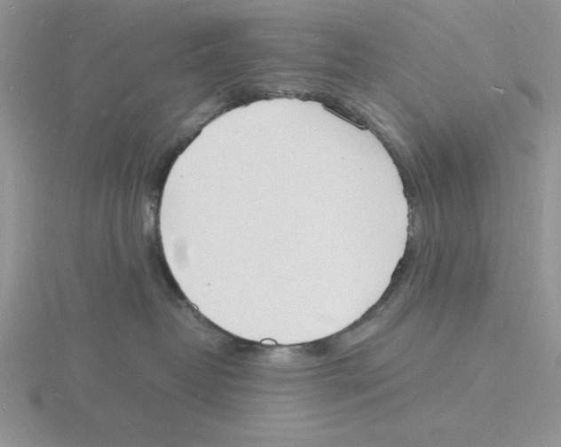 X0000115840382200912111338