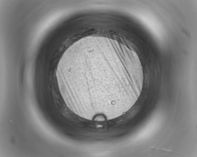 X0000115840383200912111338