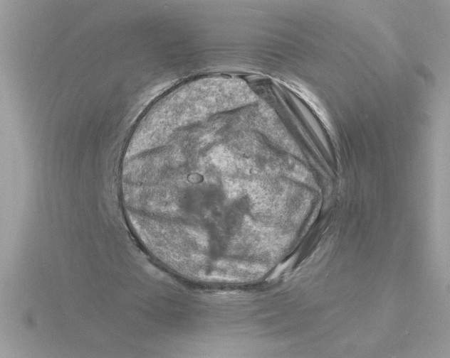 X0000115840385200912111337