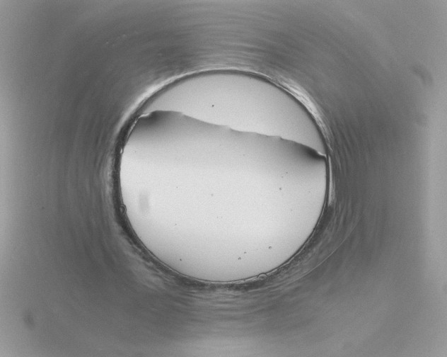 X0000115840387200912111337