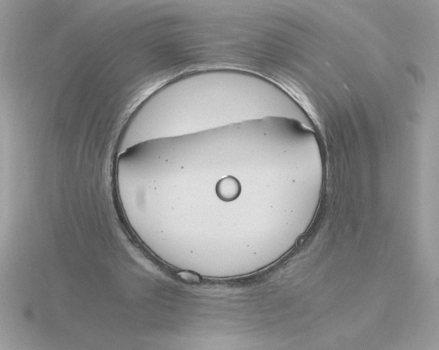 X0000115840389200912111337