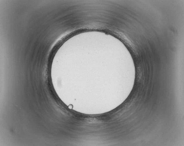 X0000115840392200912111337