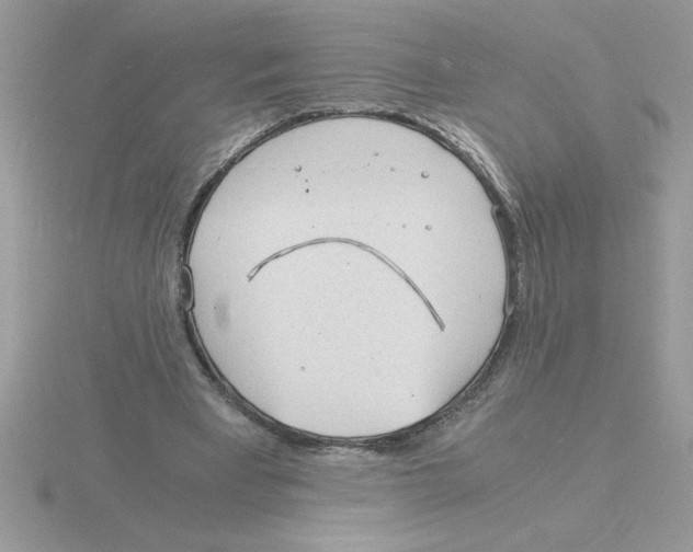 X0000115840393200912111337