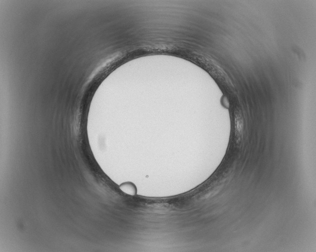 X0000115840396200912111337