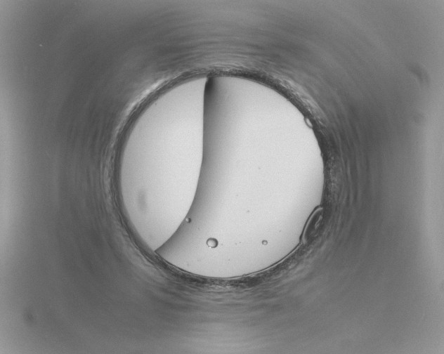 X0000115840399200912111337