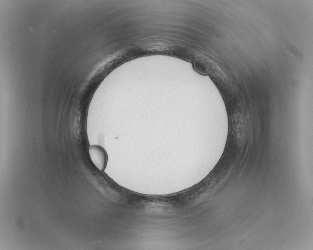 X0000115840400200912111337