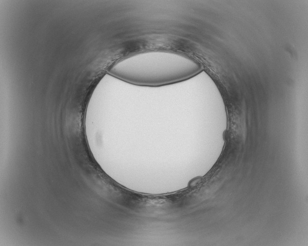 X0000115840401200912111337