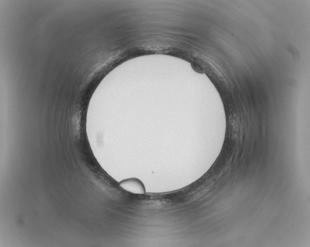 X0000115840404200912111337