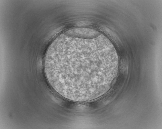 X0000115840405200912111337