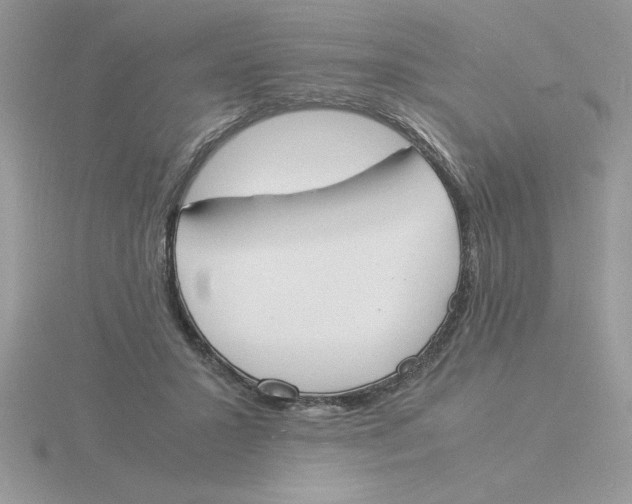 X0000115840407200912111337