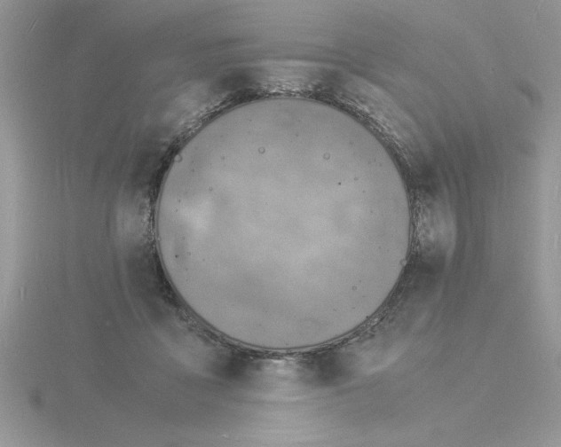 X0000115840411200912111337