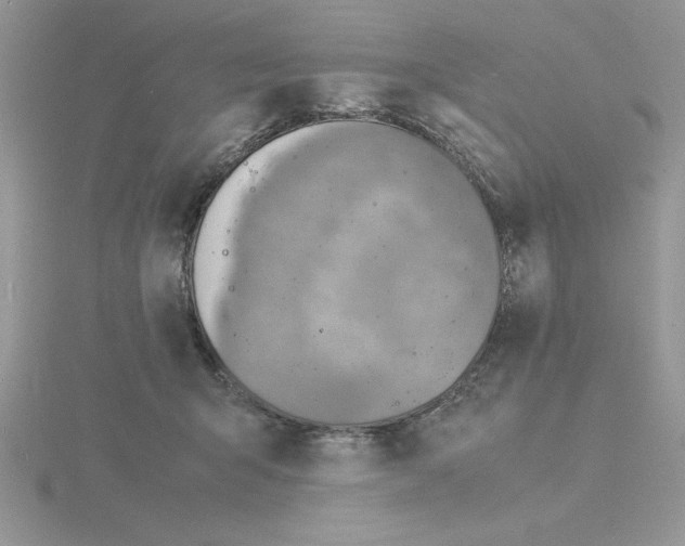 X0000115840415200912111337