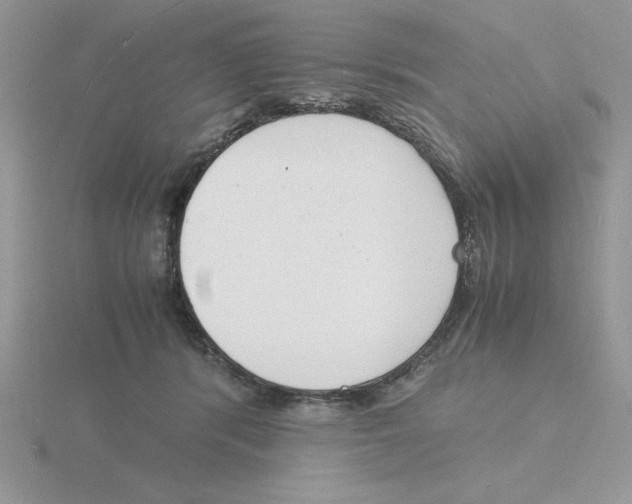 X0000115840416200912111337