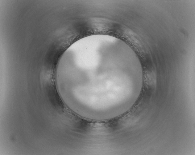 X0000115840419200912111337