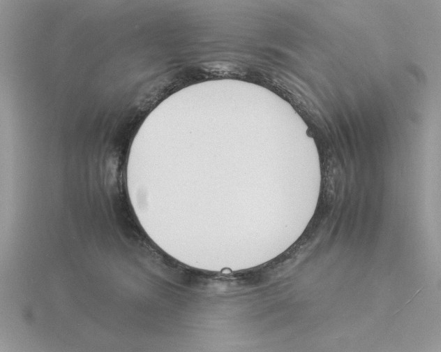 X0000115840420200912111337