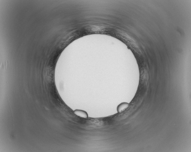 X0000115840421200912111337