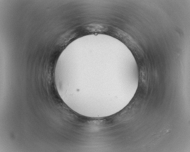 X0000115840422200912111337