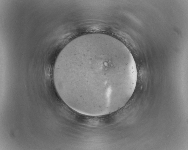 X0000115840423200912111337