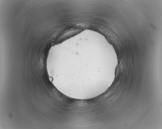 X0000115840424200912111337