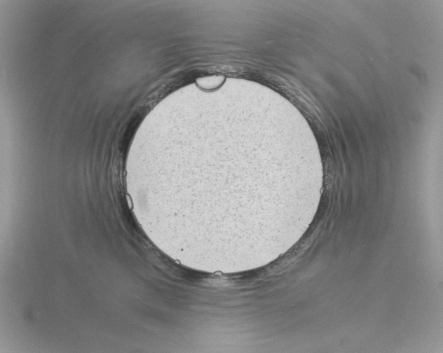 X0000115840425200912111337