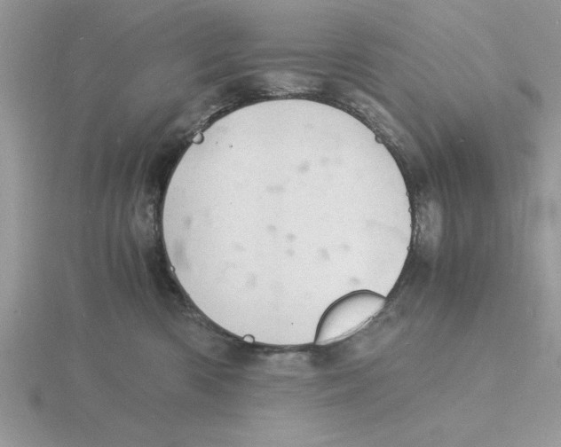 X0000115840426200912111337