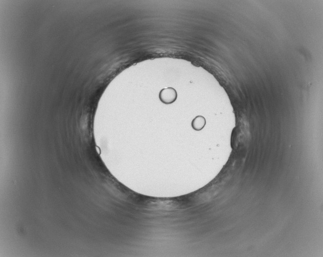 X0000115840428200912111337