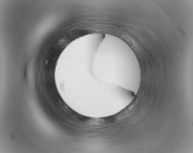 X0000115840429200912111337