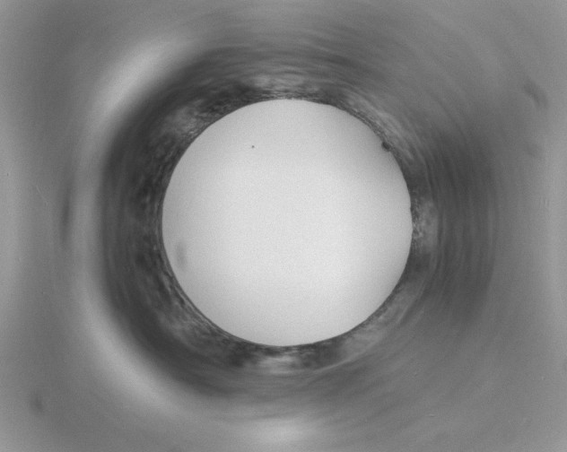 X0000115840430200912111337