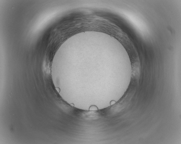 X0000115840431200912111337