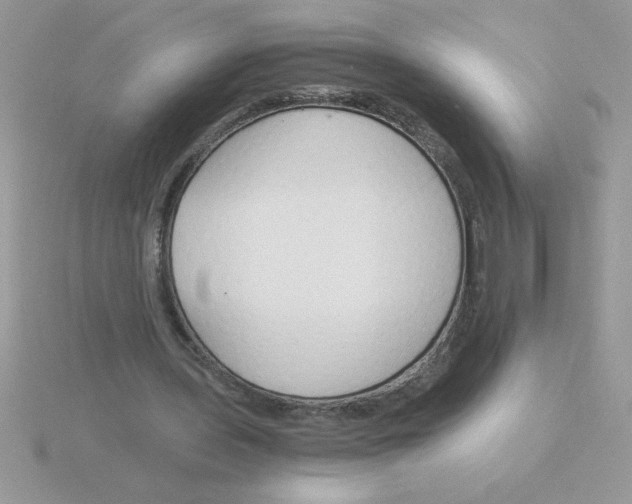 X0000115840435200912111336