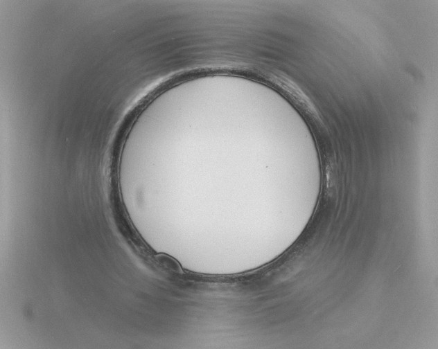 X0000115840436200912111336