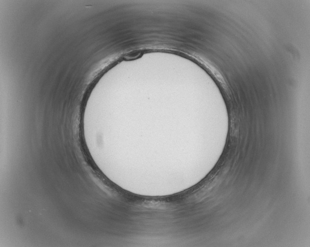 X0000115840437200912111336