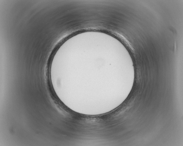 X0000115840439200912111336