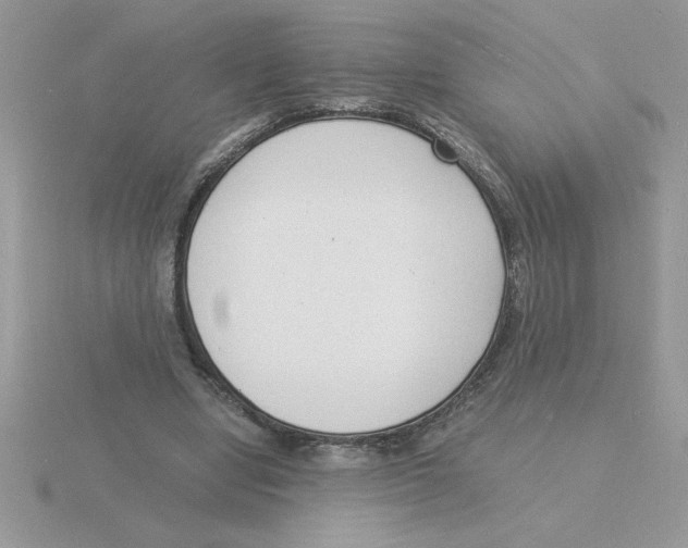 X0000115840442200912111336