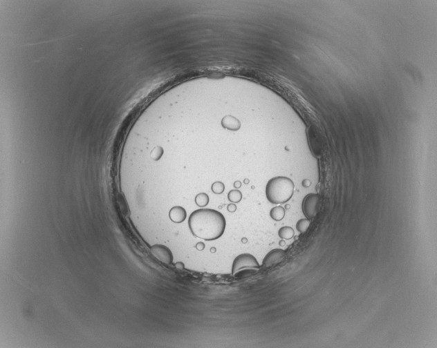 X0000115840443200912111336