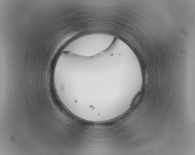 X0000115840444200912111336