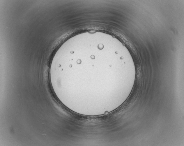 X0000115840445200912111336