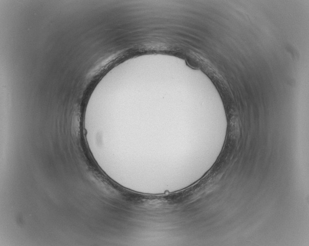 X0000115840446200912111336