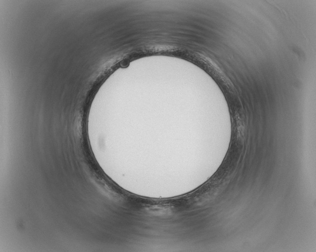 X0000115840447200912111336