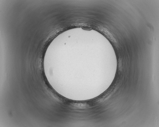 X0000115840449200912111336