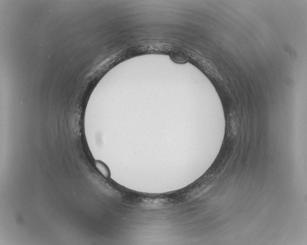 X0000115840450200912111336