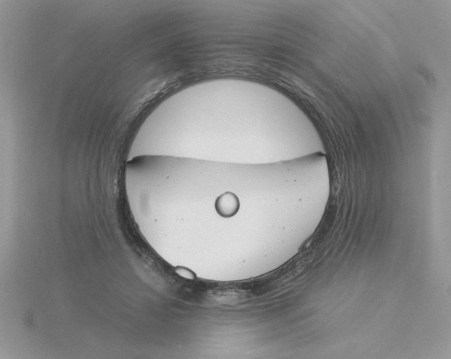 X0000115840452200912111336