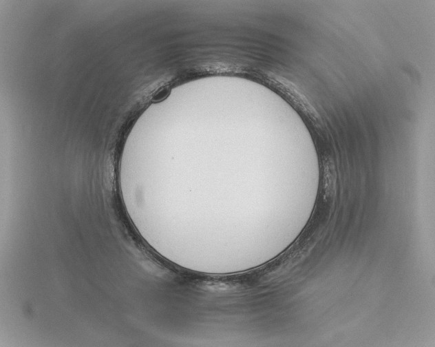 X0000115840453200912111336