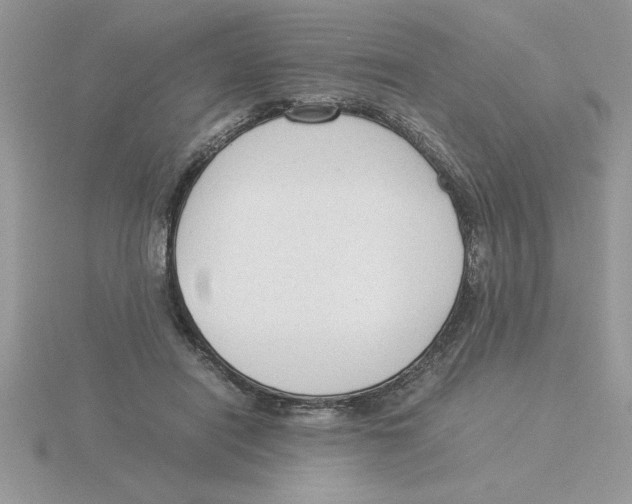 X0000115840454200912111336