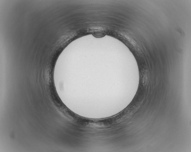 X0000115840455200912111336