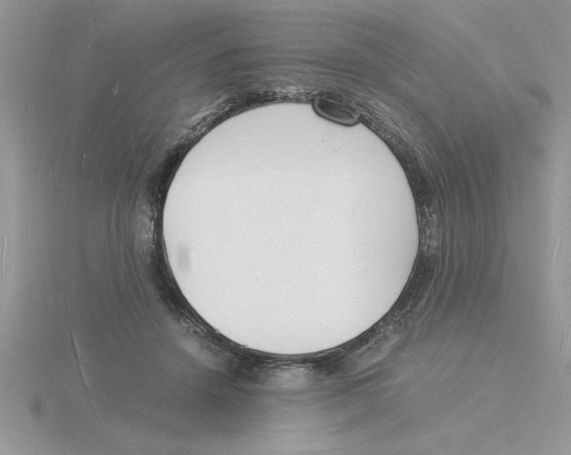 X0000115840456200912111336