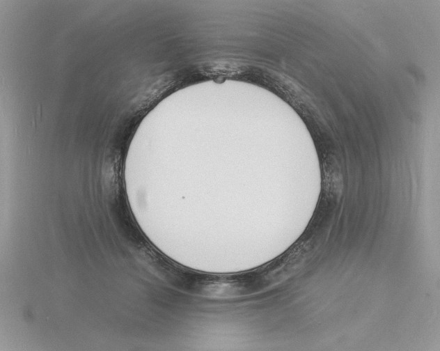 X0000115840460200912111336