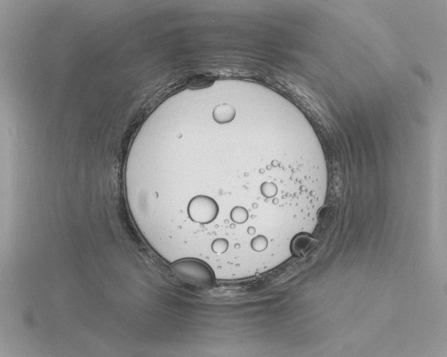 X0000115840461200912111336