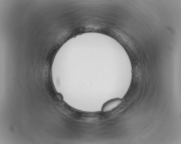 X0000115840463200912111336